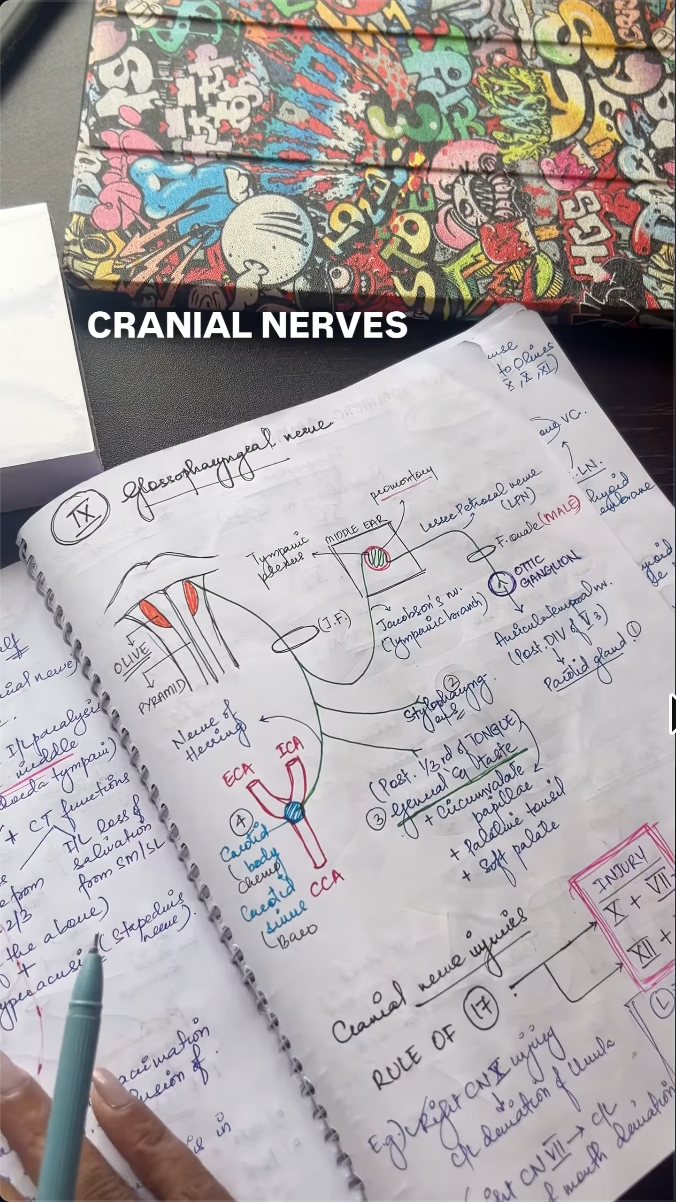 Still from the Cranial Nerves Reel showing handwritten notes
